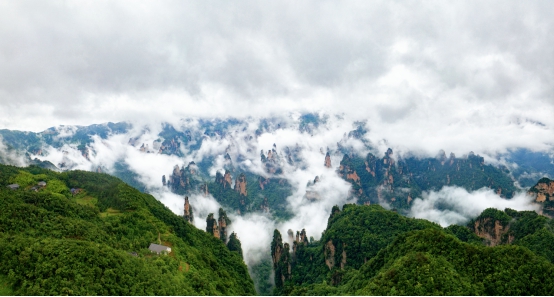 张家界旅游有个让人“崩溃”的疏忽，一旦走错，排队两小时起”